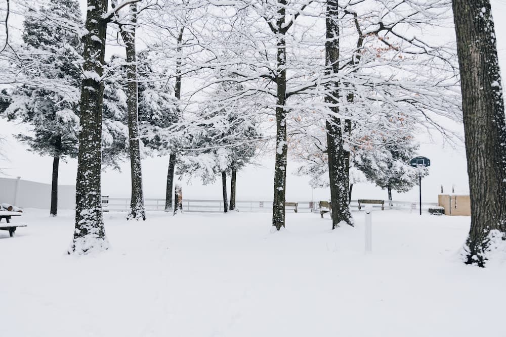 Scenic Drive Resort by DreamStay gallery photo in Muskegon, MI — image 22