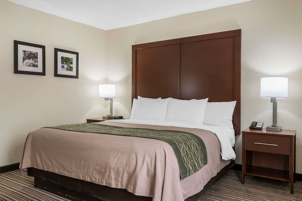 Comfort Inn - Pocono Mountains gallery photo in White Haven, PA — image 19