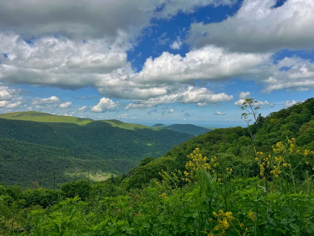 Big Meadows Lodge gallery photo in Luray, VA — image 48