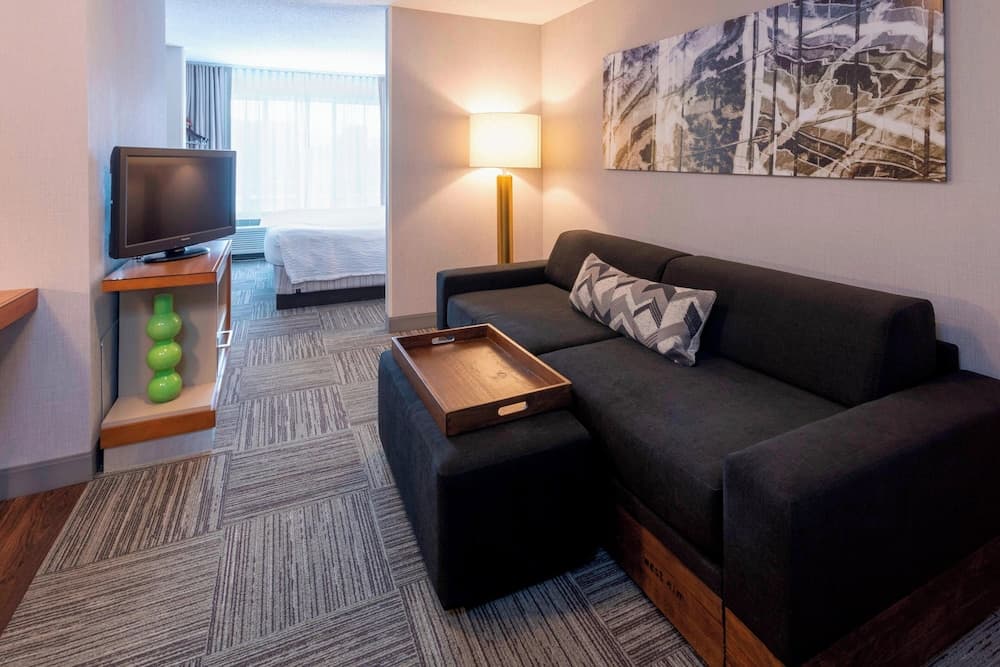 SpringHill Suites by Marriott Rochester-Mayo Clinic/St Marys — hotel in Rochester, Minnesota