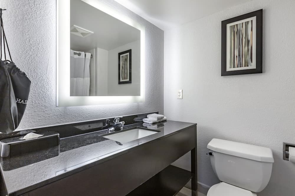 Comfort Inn & Suites Grand Blanc/Flint gallery photo in Grand Blanc, MI — image 6