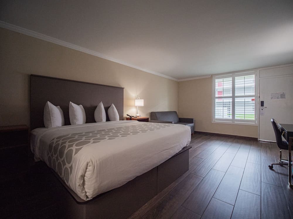 Equus Inn Ocala gallery photo in Ocala, FL — image 49