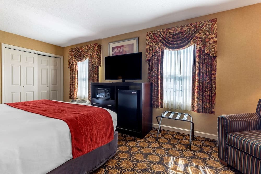 Comfort Inn Rockland - Boston gallery photo in Rockland — image 9