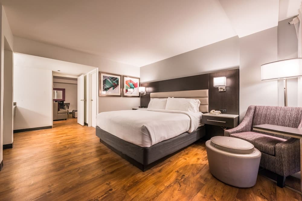 Holiday Inn Hotel & Suites Beaumont Plaza (I-10 & Walden) by IHG gallery photo in Beaumont, TX — image 16