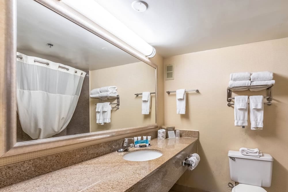 Clarion Hotel San Angelo near Convention Center gallery photo in San Angelo, TX — image 45