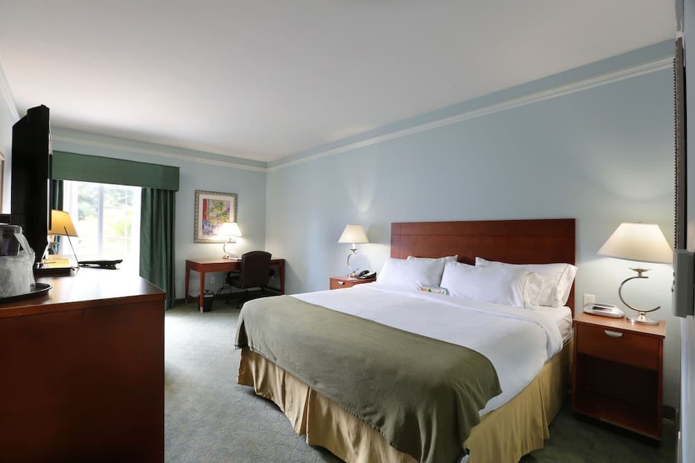 Holiday Inn Express Tampa N I-75 - University Area by IHG property views in Tampa, FL — gallery photo 3