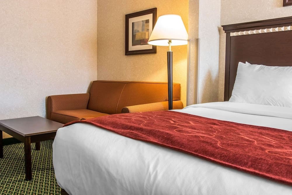 Comfort Suites Canton - Detroit gallery photo in Canton — image 6
