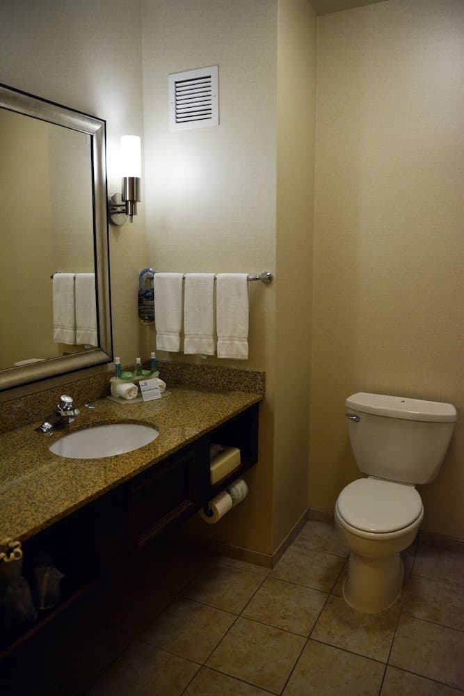Holiday Inn Express & Suites Youngstown West - Austintown by IHG gallery photo in Austintown, OH — image 4