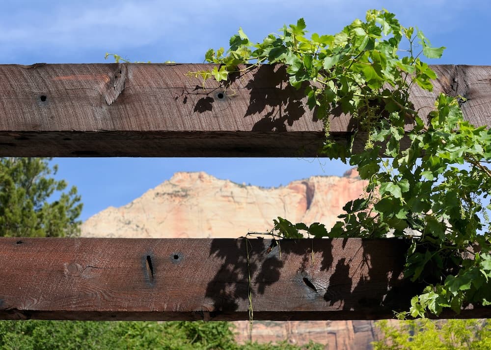Desert Pearl Inn gallery photo in Springdale, UT — image 15