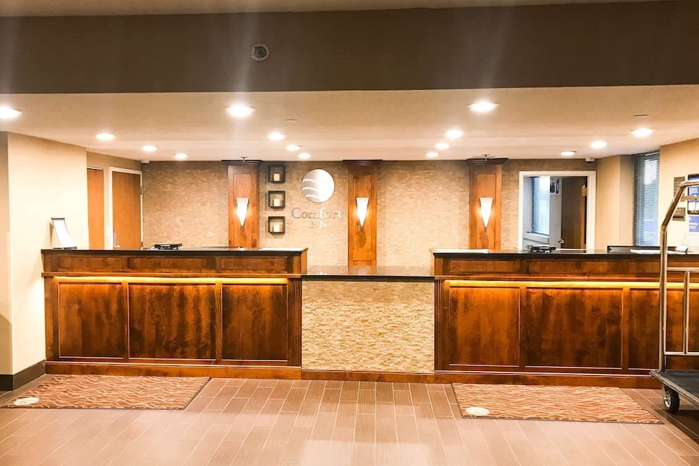 Comfort Inn  Farmington Hills - Detroit Northwest interior in Farmington Hills, MI — gallery photo 2
