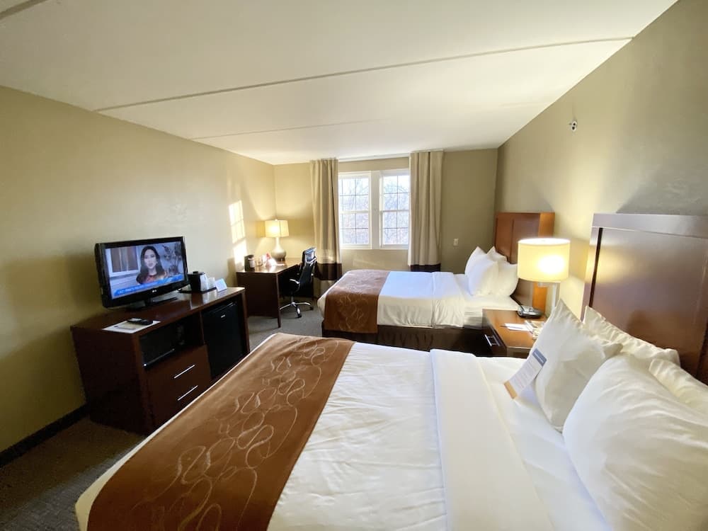 Comfort Suites Near Casinos Norwich-Uncasville CT gallery photo in Norwich, CT — image 26