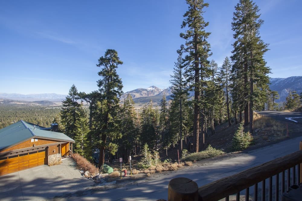 Timber Ridge 11 property views in Mammoth Lakes, CA — gallery photo 3