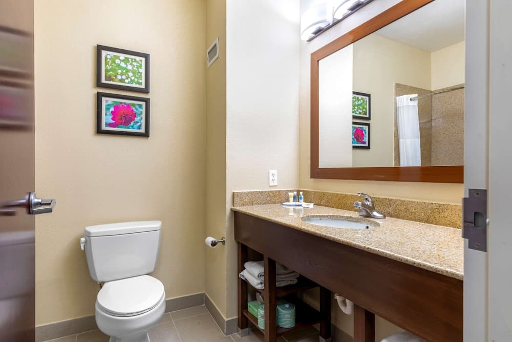 Comfort Suites Copperas Cove gallery photo in Copperas Cove, TX — image 42
