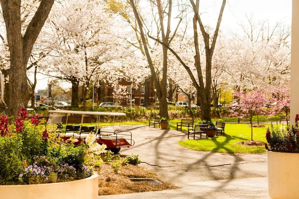The University of Georgia Center for Continuing Education & Hotel gallery photo in Athens, GA — image 19