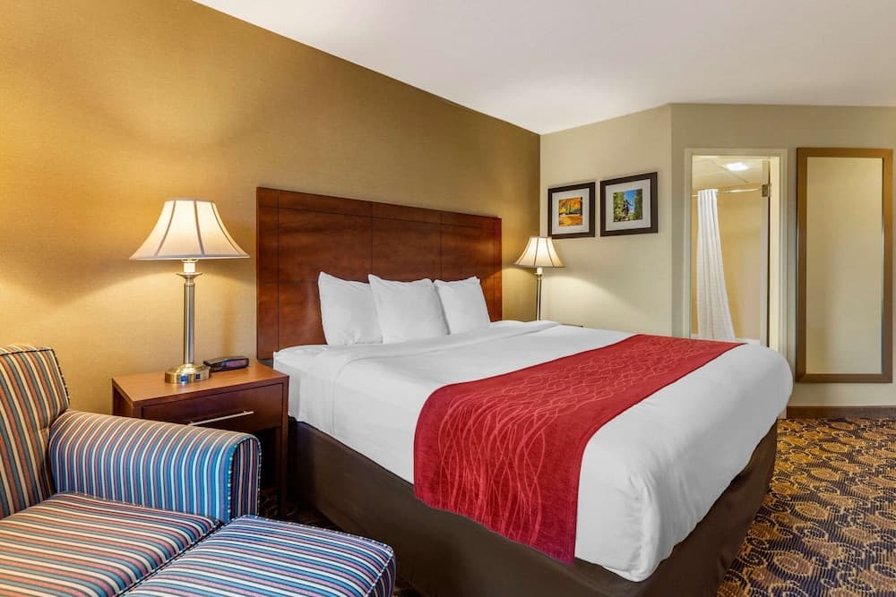 Comfort Inn Rockland - Boston gallery photo in Rockland — image 22