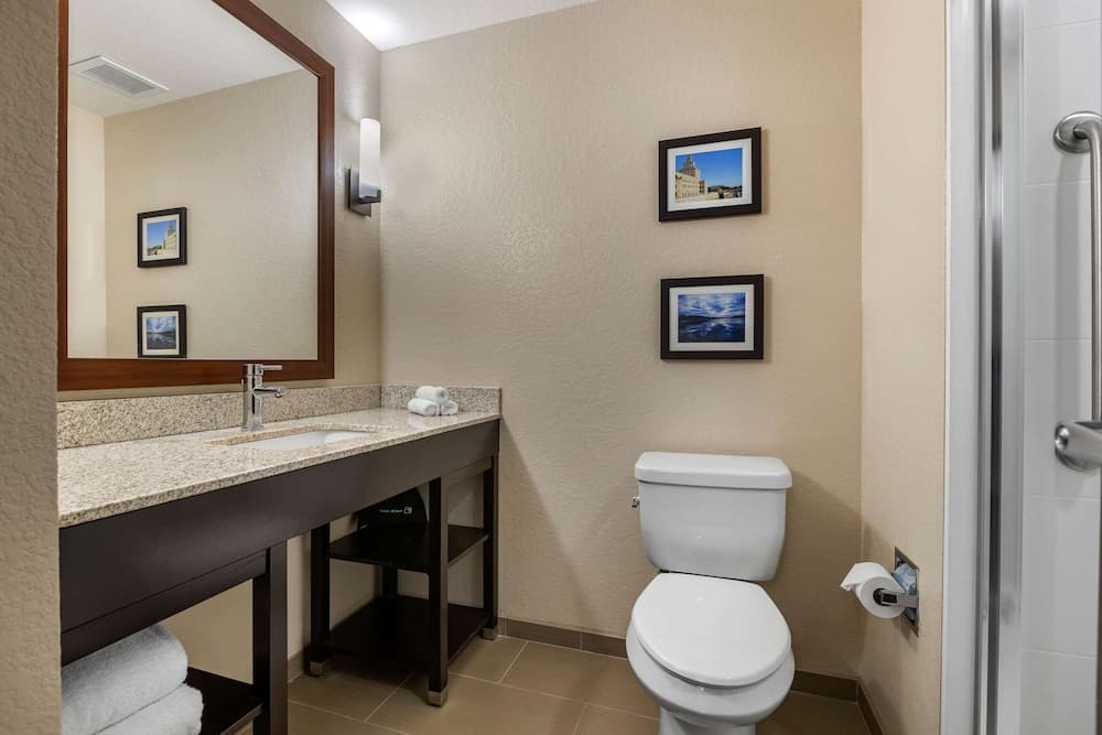 Comfort Inn & Suites Cedar Rapids CID Eastern Iowa Airport gallery photo in Cedar Rapids, IA — image 4