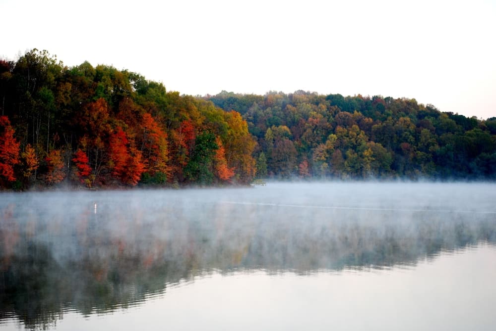 Salt Fork Lodge and Conference Center gallery photo in Cambridge, OH — image 41