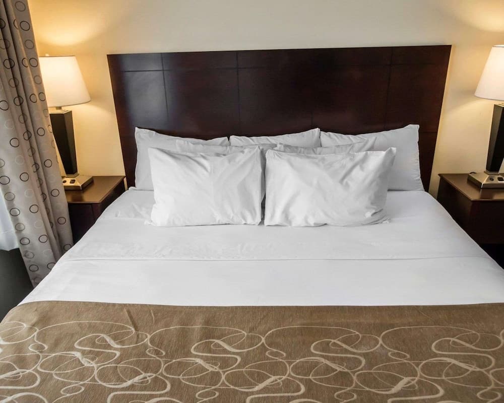 Comfort Suites University Area Notre Dame - South Bend property views in South Bend, IN — gallery photo 3