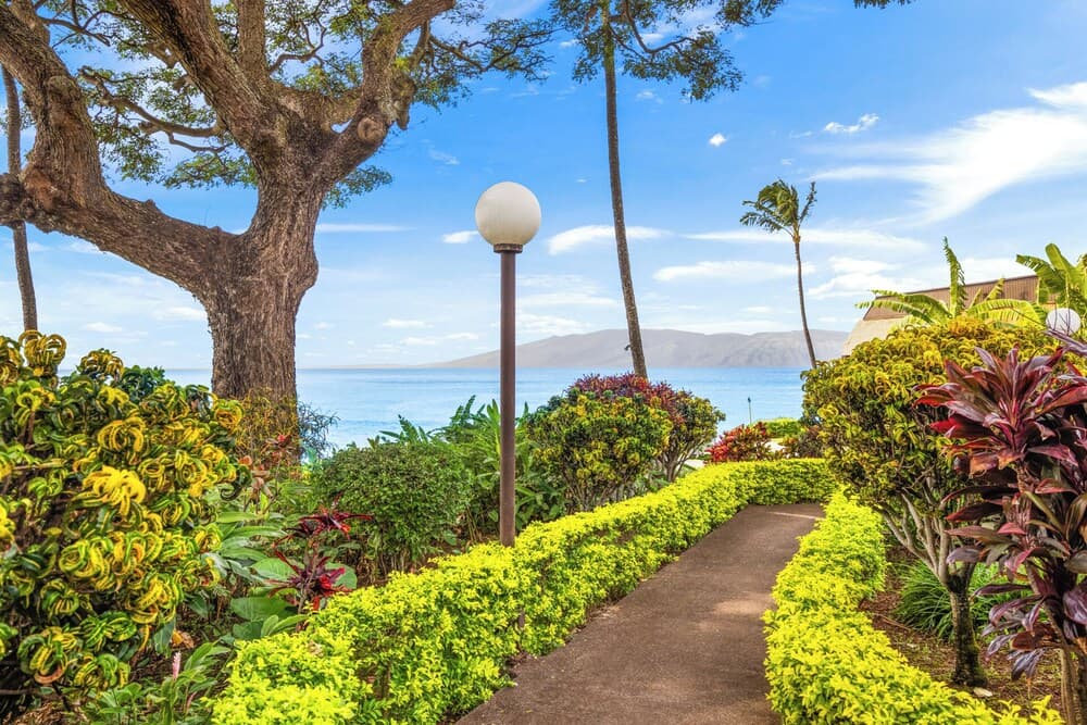 Kuleana Club - 721 interior in Lahaina, HI — gallery photo 2