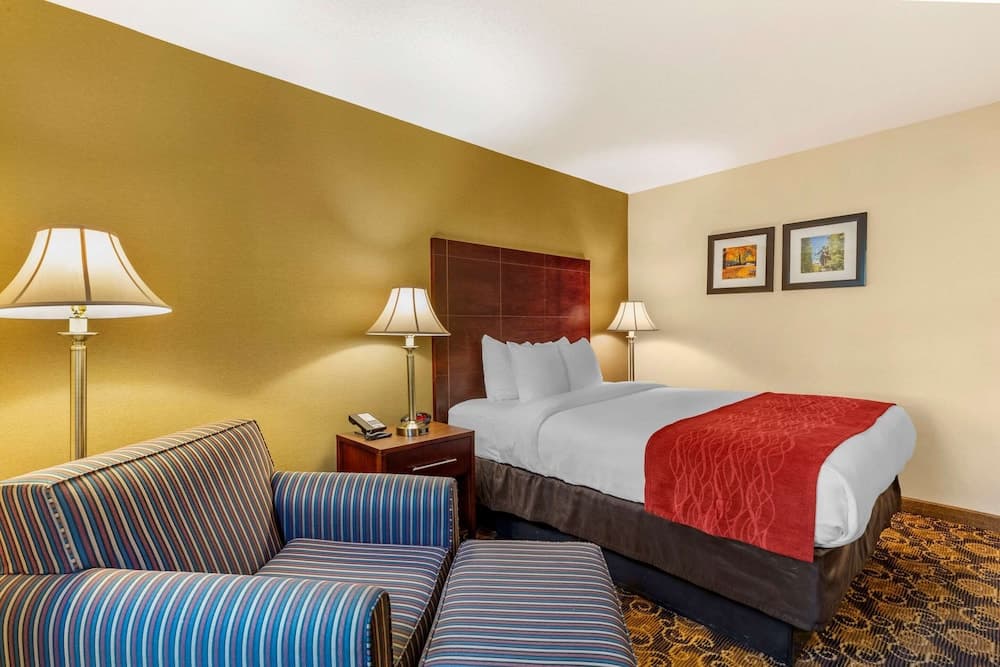Comfort Inn Rockland - Boston gallery photo in Rockland — image 13
