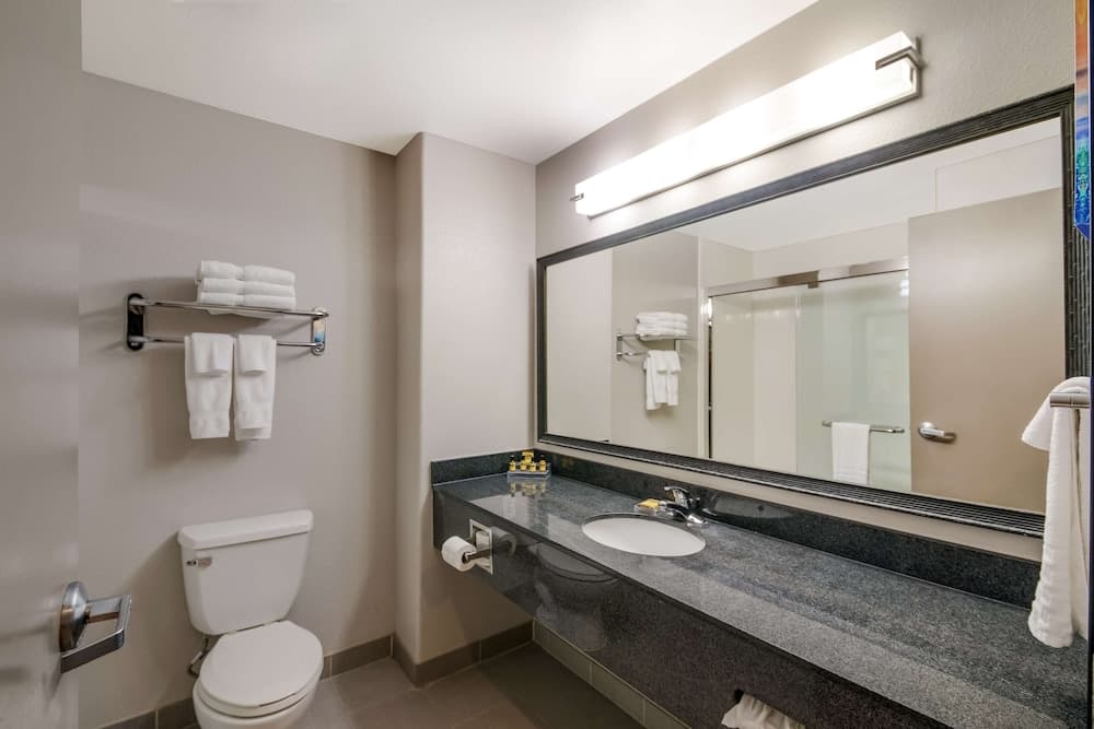 Best Western Plus Killeen/Fort Cavazos Hotel & Suites gallery photo in Killeen, TX — image 31