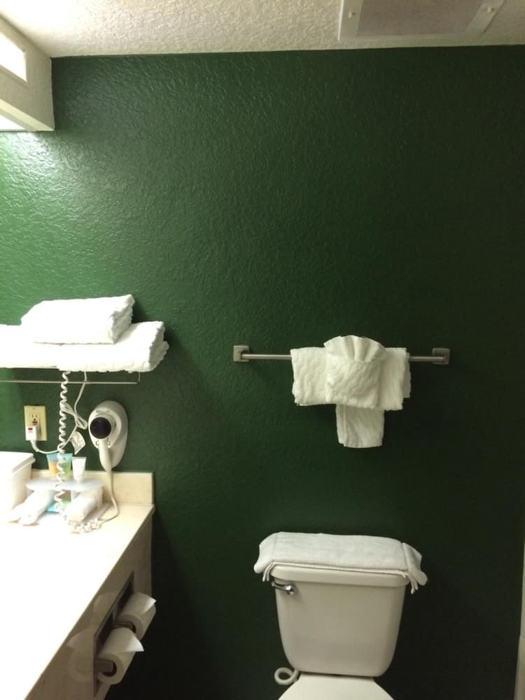 Ruskin Inn Hotel gallery photo in Ruskin, FL — image 10