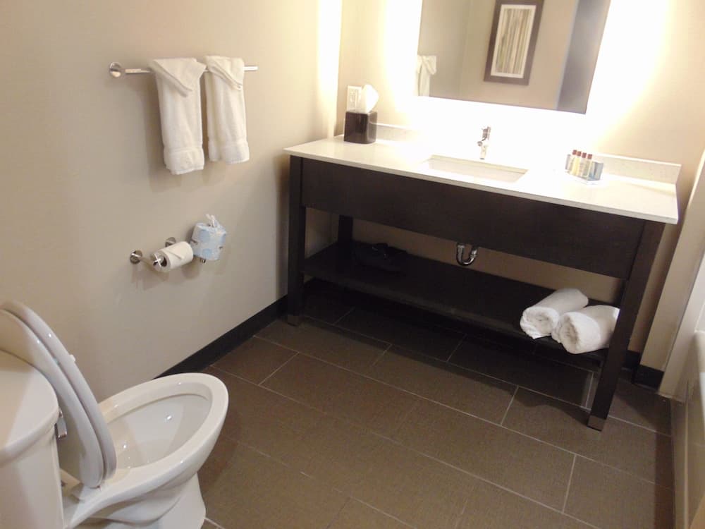 Wingate by Wyndham Lubbock gallery photo in Lubbock, TX — image 27