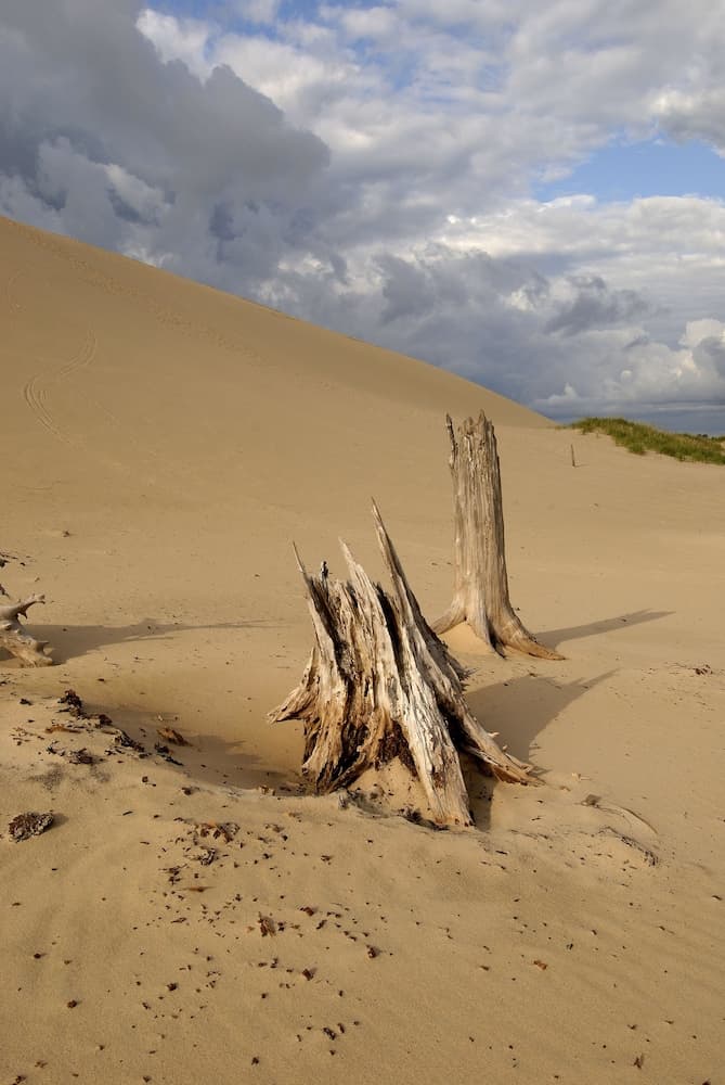 Dunes Waterfront Resort gallery photo in Mears, MI — image 22