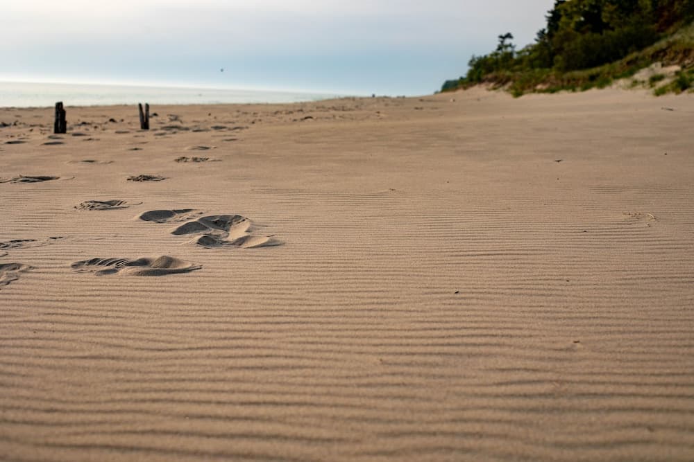 Scenic Drive Resort by DreamStay gallery photo in Muskegon, MI — image 30