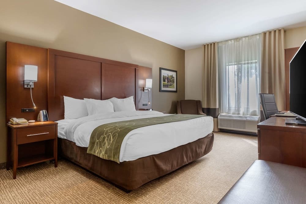 Comfort Suites Johnson City near University gallery photo in Johnson City, TN — image 15