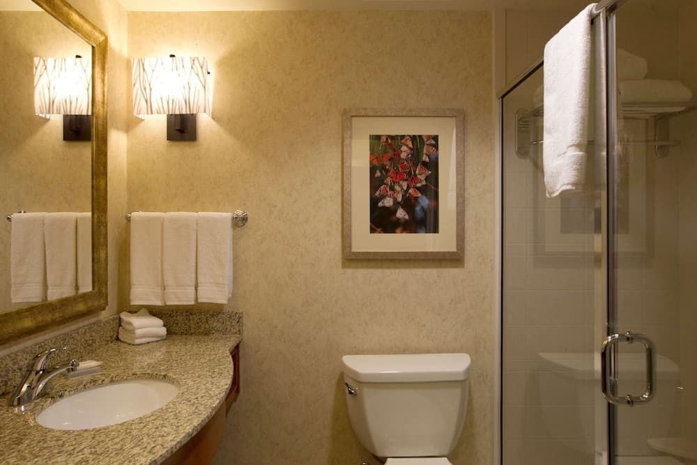 Hilton Garden Inn Cedar Falls gallery photo in Cedar Falls, IA — image 13