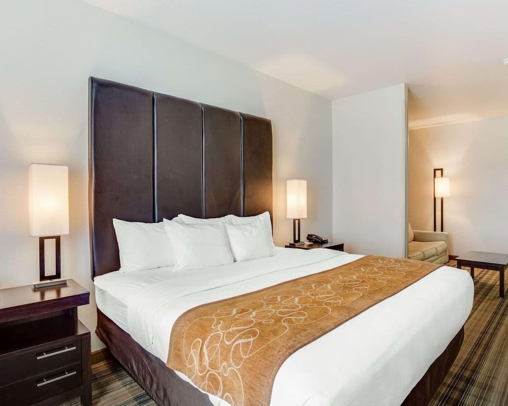Comfort Suites Mandeville - Covington gallery photo in Mandeville, LA — image 38