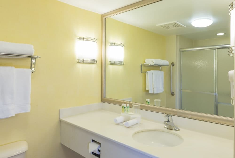 Holiday Inn Express Hotel & Suites Frackville by IHG gallery photo in Frackville, PA — image 34