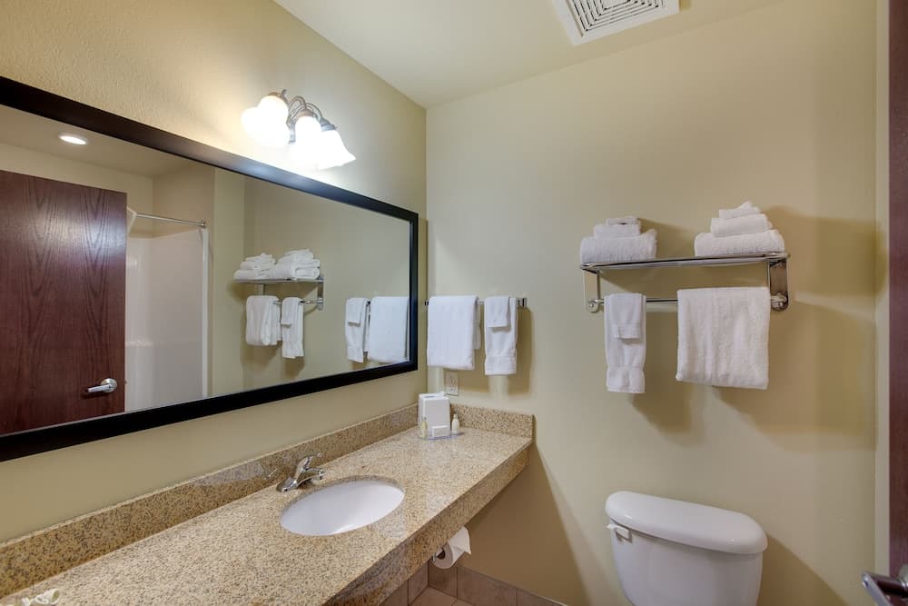 AmericInn by Wyndham Oshkosh gallery photo in Oshkosh, WI — image 21