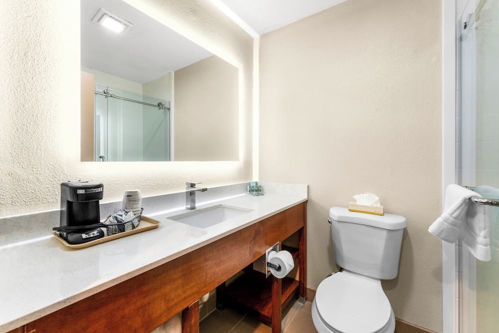 SureStay Plus by Best Western Reading North gallery photo in Reading, PA — image 19