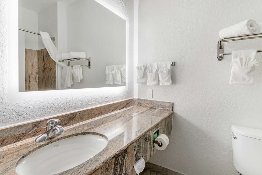Best Western Texas City I-45 gallery photo in Texas City, TX — image 21