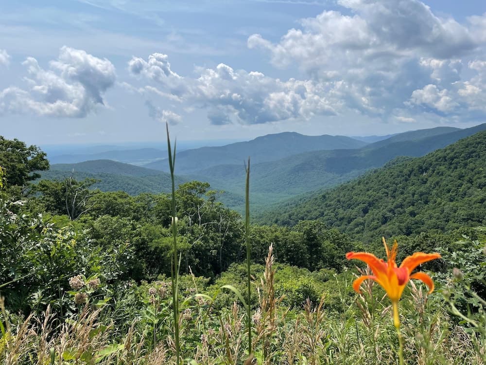Skyland gallery photo in Luray, VA — image 20