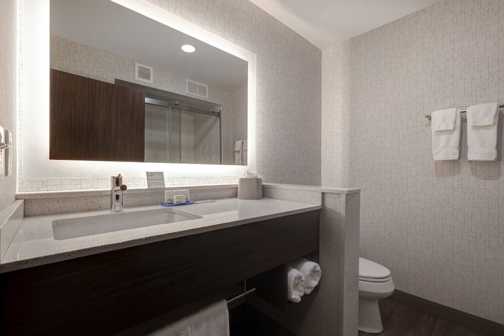Holiday Inn Express & Suites Detroit Dearborn by IHG gallery photo in Dearborn, MI — image 30