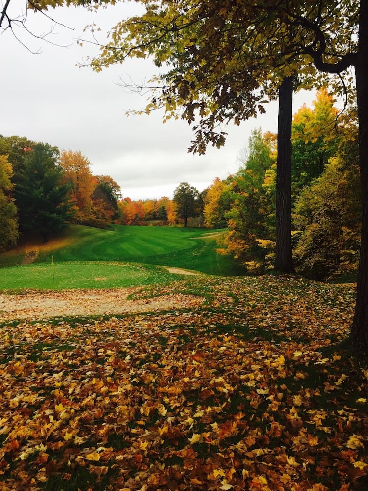 The Ridge property views in Gaylord, MI — gallery photo 3