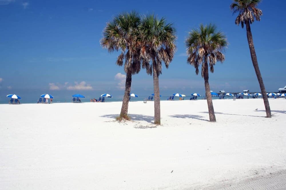 Tropical Paradise property views in Largo, FL — gallery photo 3