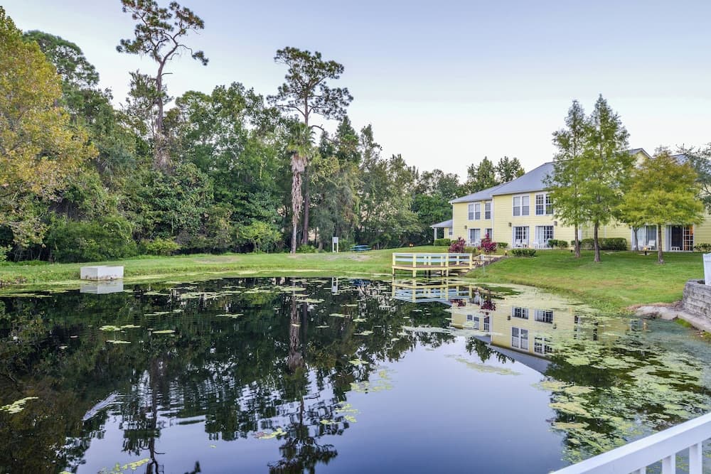Barefoot Suites gallery photo in Kissimmee, FL — image 22