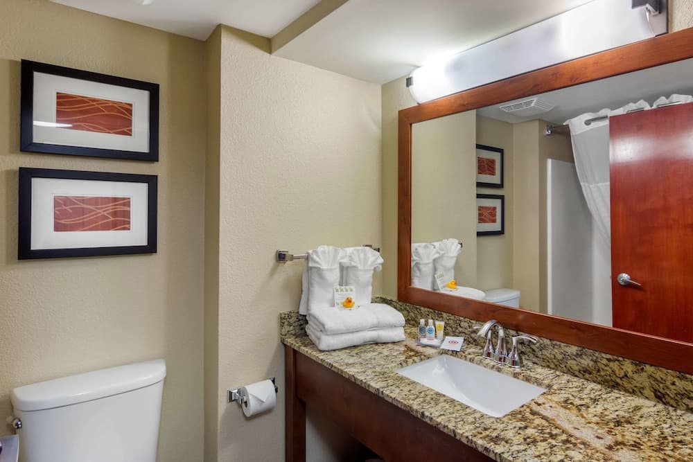 Comfort Inn & Suites LaGrange East gallery photo in LaGrange, GA — image 6