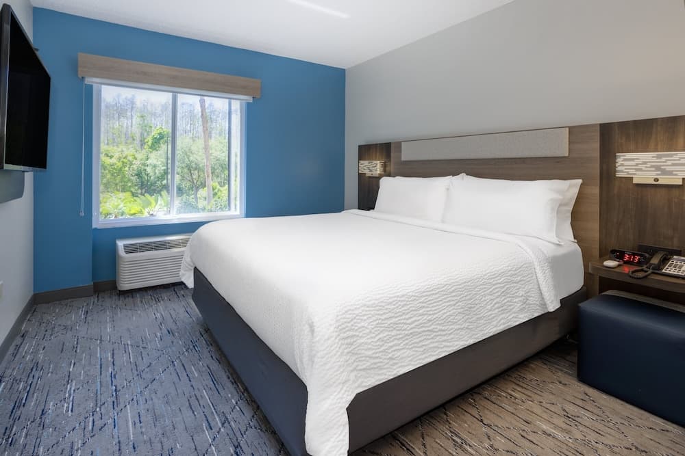 Holiday Inn Express Hotel & Suites New Tampa I-75 by IHG property views in Tampa, FL — gallery photo 3