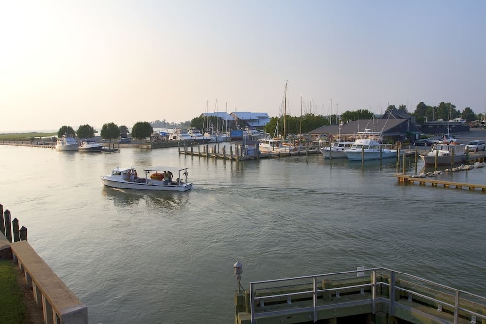 Knapps Narrows Marina & Inn gallery photo in Tilghman, MD — image 28