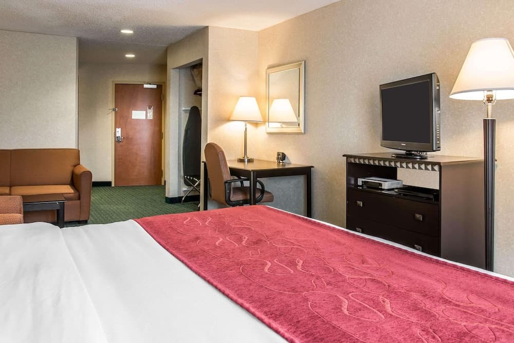 Comfort Suites Canton - Detroit gallery photo in Canton — image 7