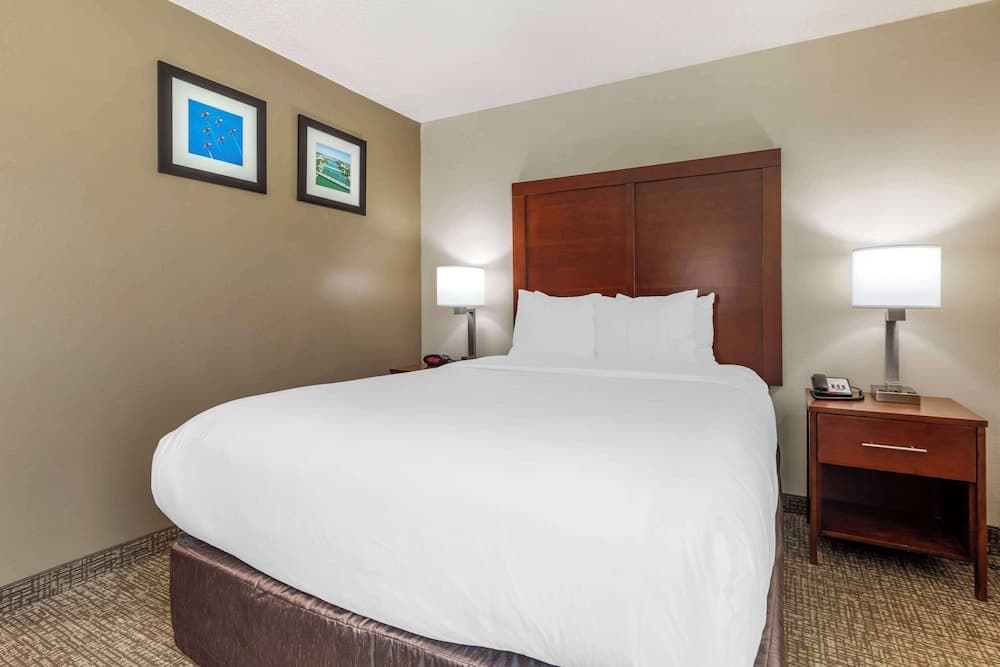 Comfort Inn & Suites Temple - Medical Center gallery photo in Temple, TX — image 20