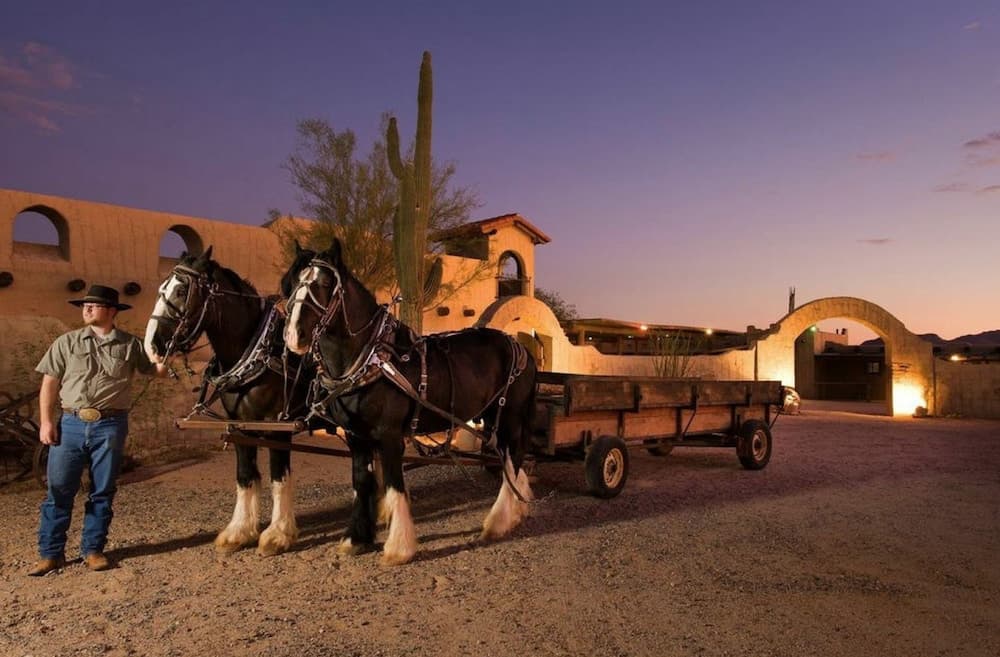 Wekopa Casino Resort gallery photo in Fort McDowell — image 12