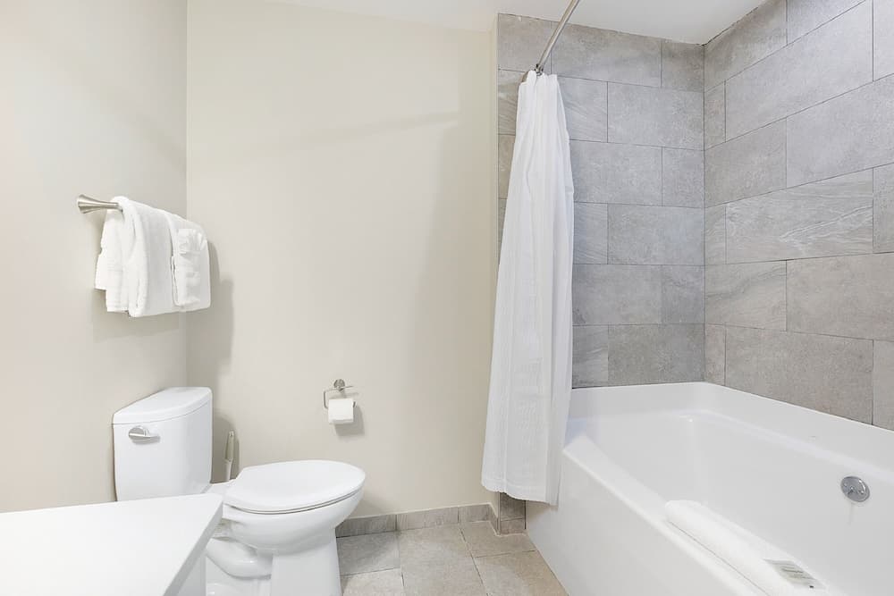 Exquisite 4 BR Condo in New Orleans property views in New Orleans, LA — gallery photo 3