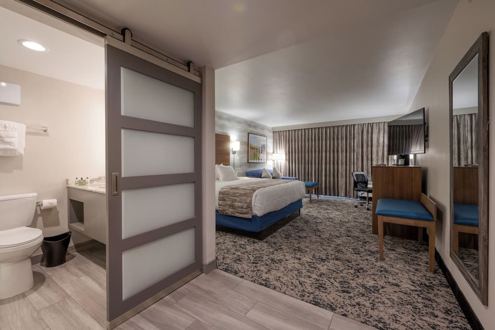 MCM Elegante Hotel and Conference Center Odessa gallery photo in Odessa, TX — image 11