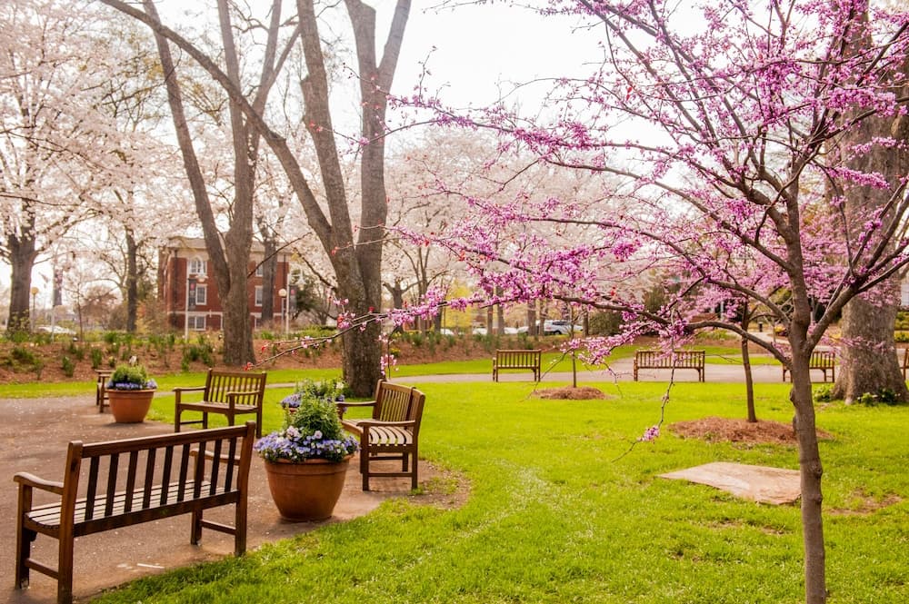 The University of Georgia Center for Continuing Education & Hotel gallery photo in Athens, GA — image 10